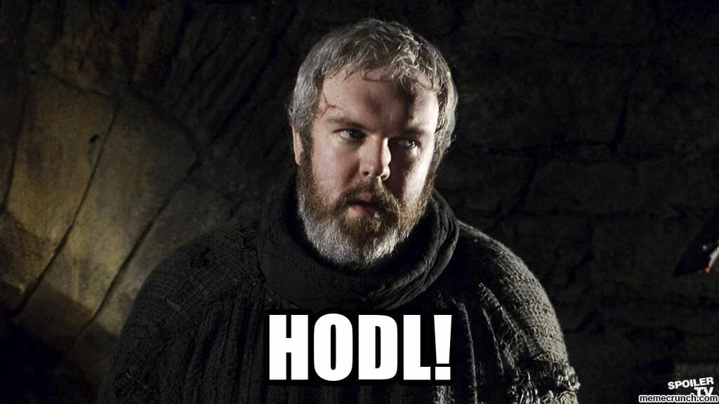 Hodl, un mot plébiscité par tous les afficionados de Bitcoin qui accumulent sans cesse cet or numérique. Un mot qui se rapproche du prénom "Hodor" de l'un des personnages de la série Game of Thrones.