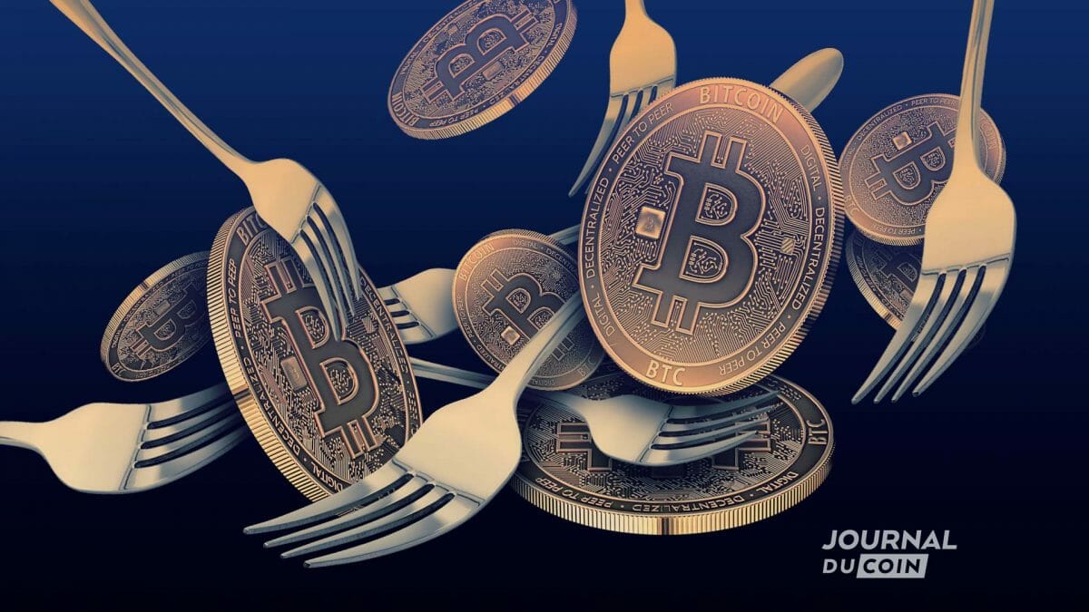 Gouvernance Bitcoin Fork