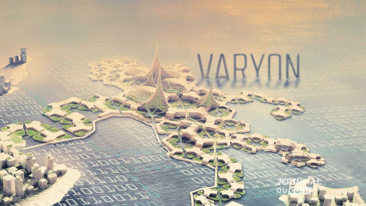 Polynesie-Silicon-Island Vayron