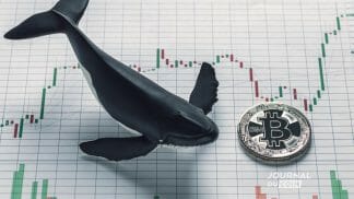 Bitcoin baleine