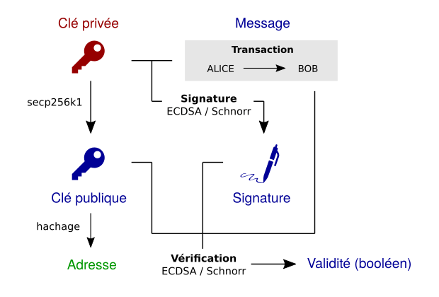 Clé privée, clé publique, adresse et processus de signature dans Bitcoin (simplifié)