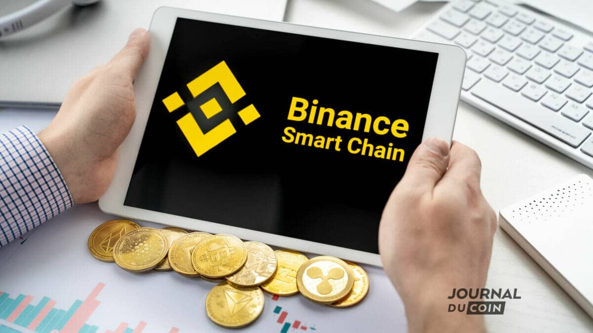 coin binance smart chain