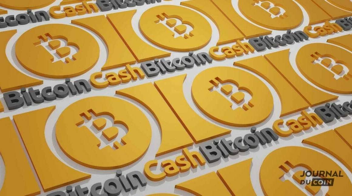 investirea bitcoin cash euro cum să tranzacționați bitcoin cu opm