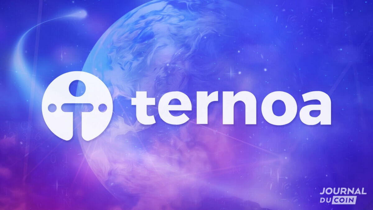Ternoa offers an extremely robust and efficient layer 1 infrastructure