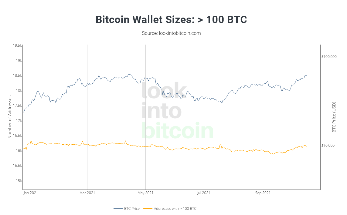 Evolution du nombre de wallet contenant entre 100 et 1000 bitcoins