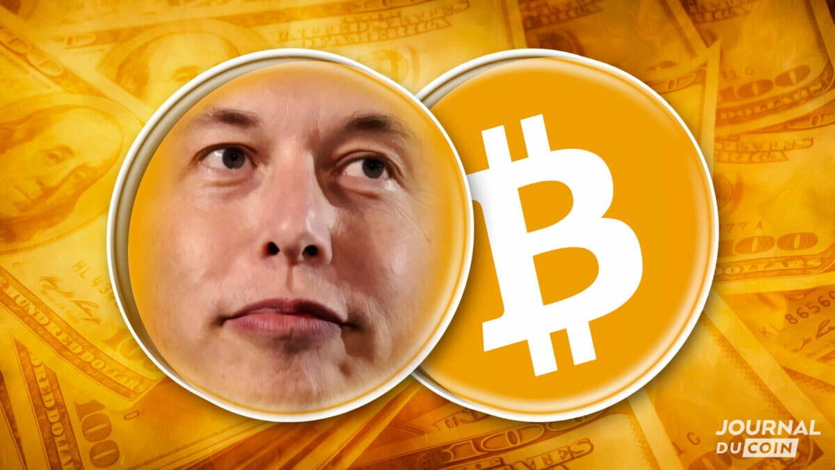 ElonMusk-Bitcoin-BTC-Dollars