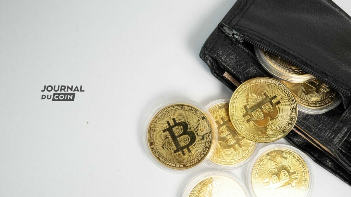 Photo d'un wallet détenant du bitcoin