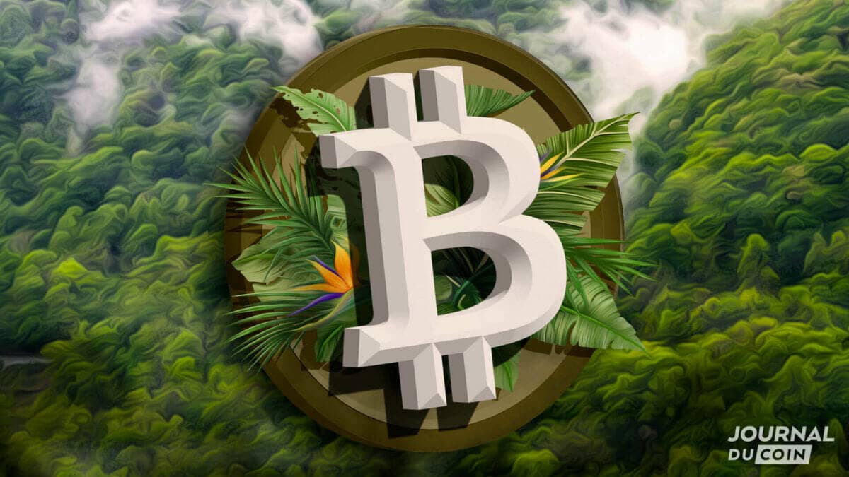 Bitcoin-BTC-Nature-ecologie-vert