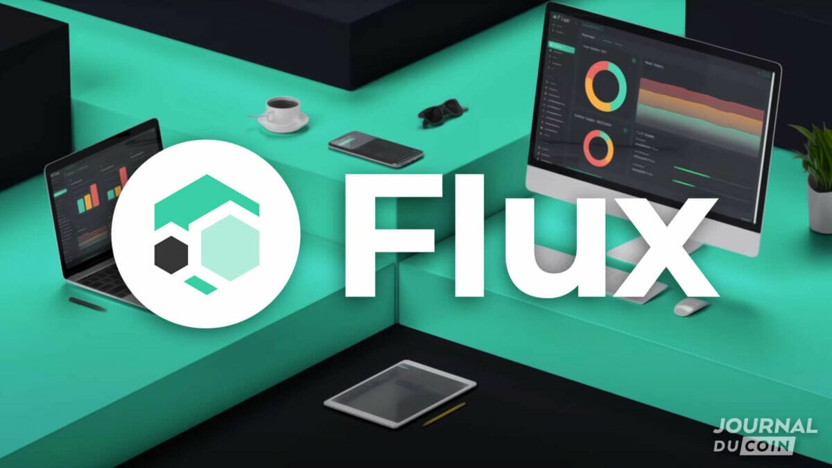 flux crypto potential