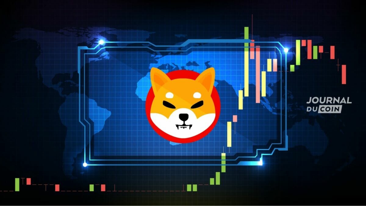 avis shiba inu