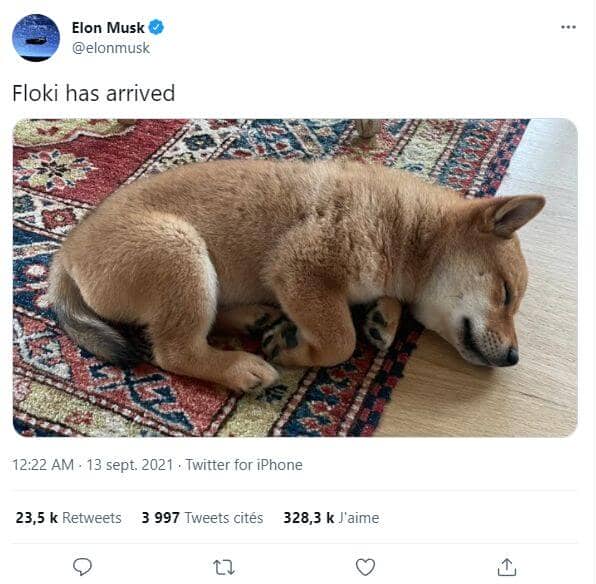 Tweet d'Elon Musk présentant son Shiba Inu 