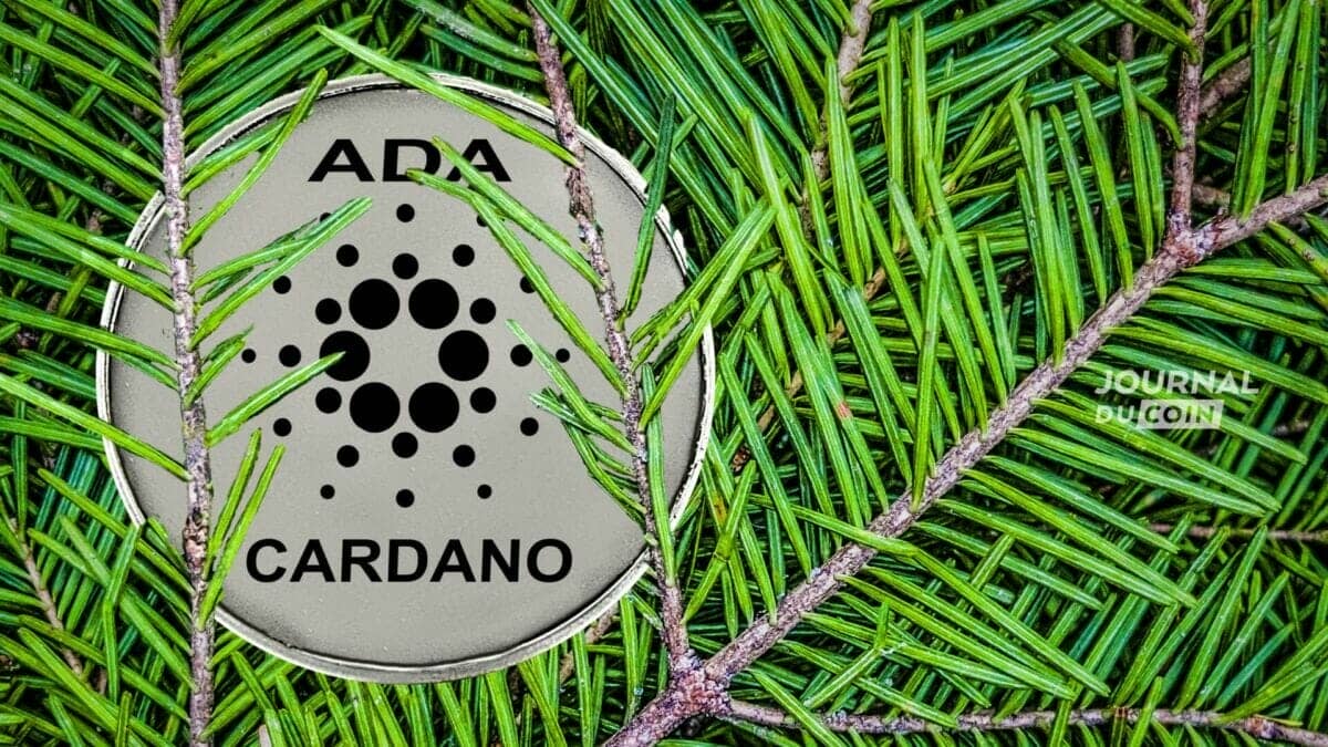 The crypto it plays green – Cardano (ADA) planted 1 million trees in Kenya