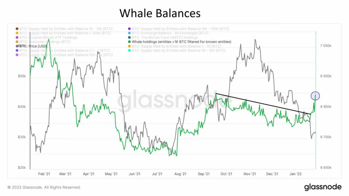 Les baleines continuent d'acheter du bitcoin (BTC).