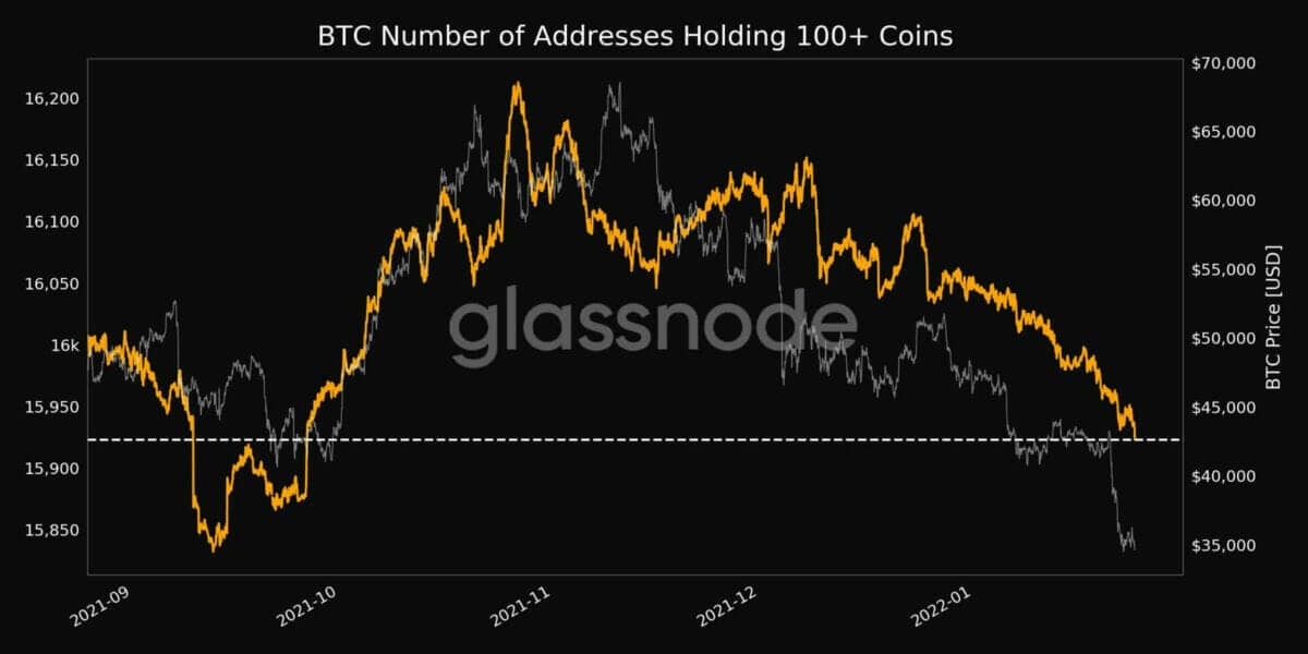 Vente de bitcoin par les baleines BTC suite à l'effondrement du prix du bitcoin sous les 33 000 $