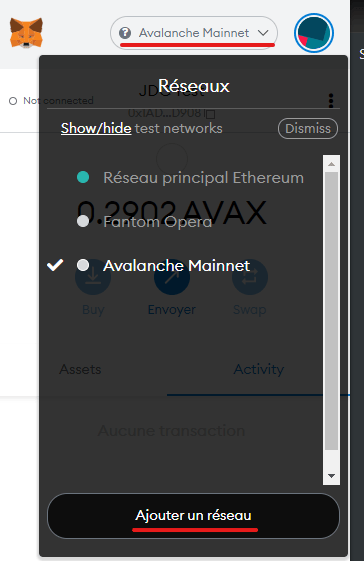 Connectez votre MetaMask au réseau Avalanche