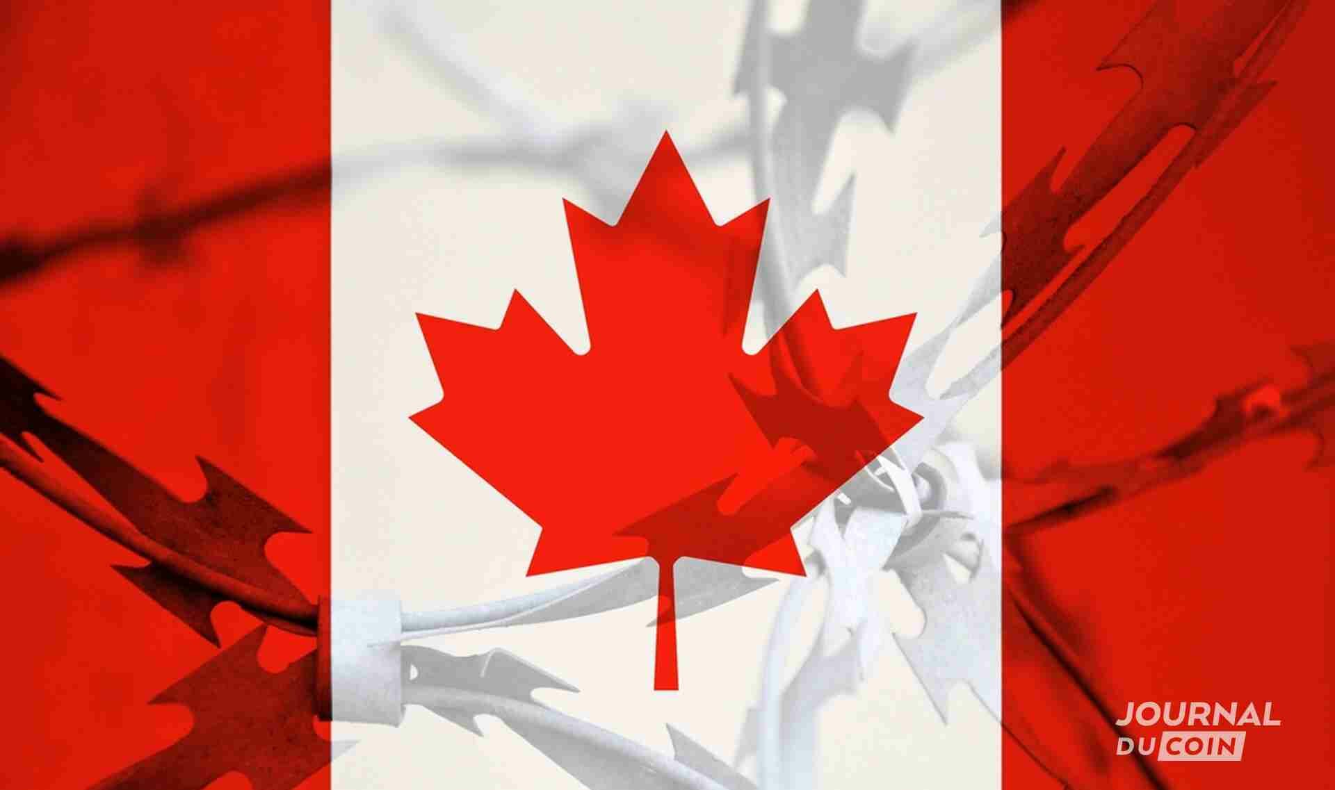 Les baleines cryptos : les cibles des voleurs au Canada