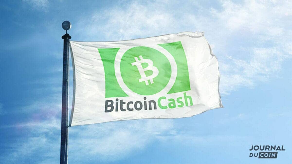 Les CaraIbes vont-elles devenir la nouvelle terre d'accueil de Bitcoin Cash ?