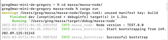 Compilation et lancement du node Massa