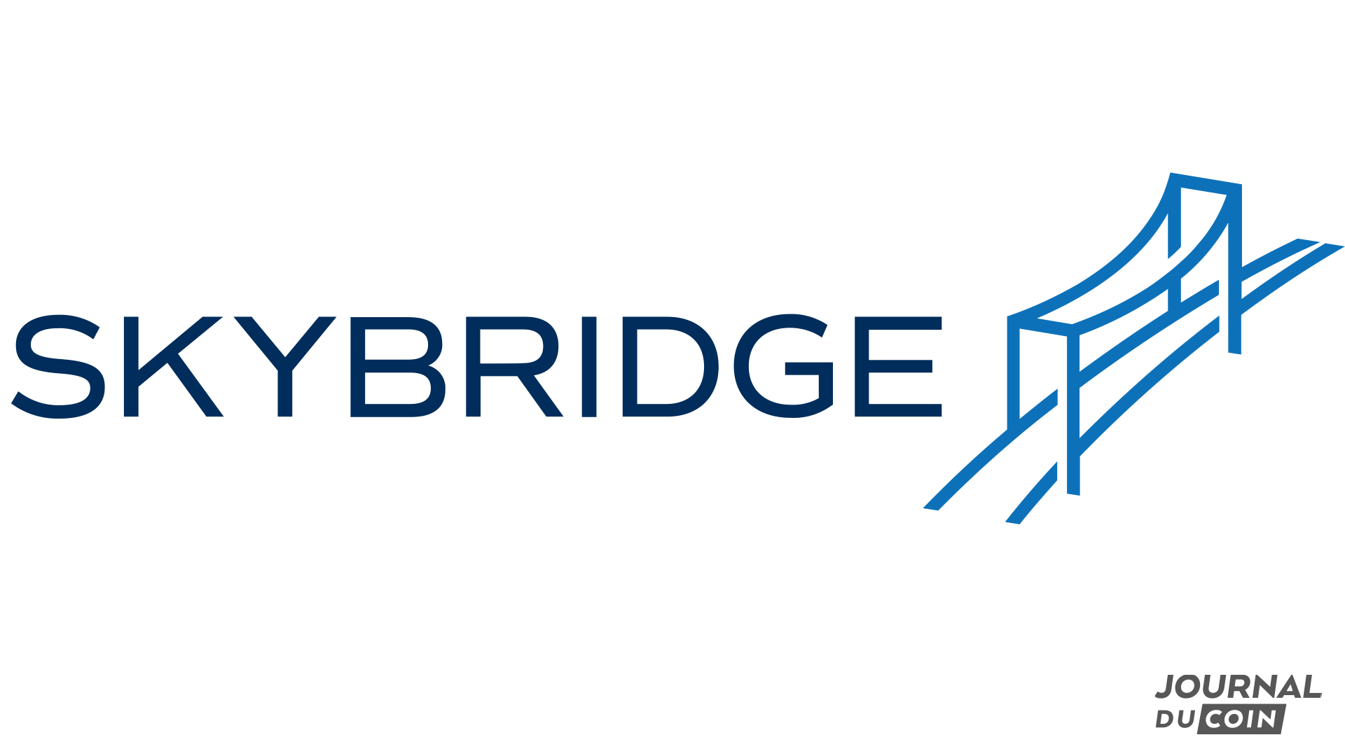 SkyBridge possède une grande partie de ses actifs en cryptomonnaies 