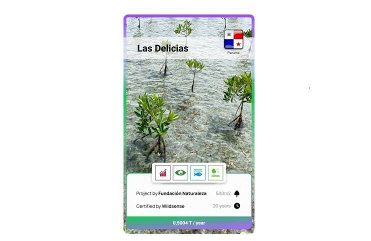 NFT CarbonABLE représentant une parcelle de terrain à Las Delicias pour restaurer les fôrets de Mangroves