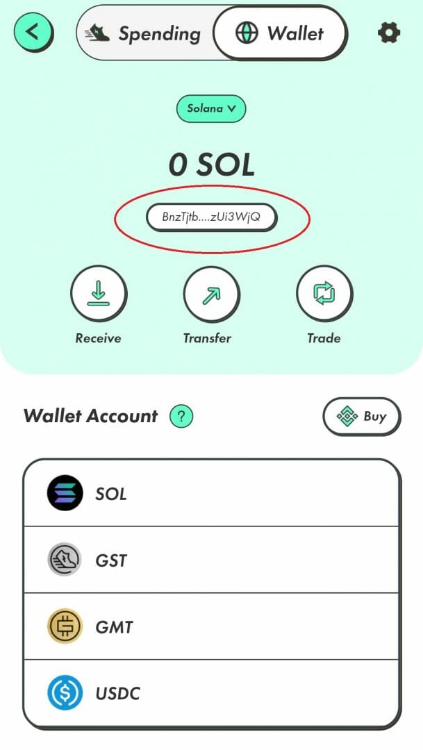 Envoyez des SOL sur votre portefeuille.