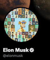 Elon Musk puts Bored Ape Yacht Club NFTs in his profile picture.