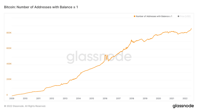 ATH sur le nombre de portefeuilles détenant au moins 1 bitcoin. 
