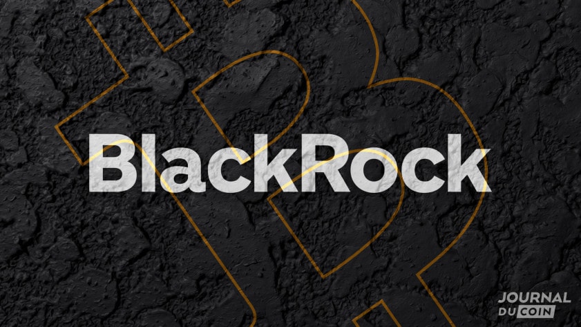 BlackRock launches an ETF dedicated to the metaverse: iShares Future Metaverse Tech and Communications (IVRS)