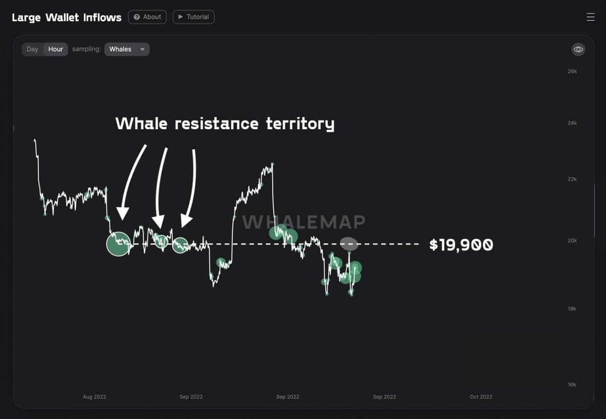BTC USD: whale resistance at $19,900