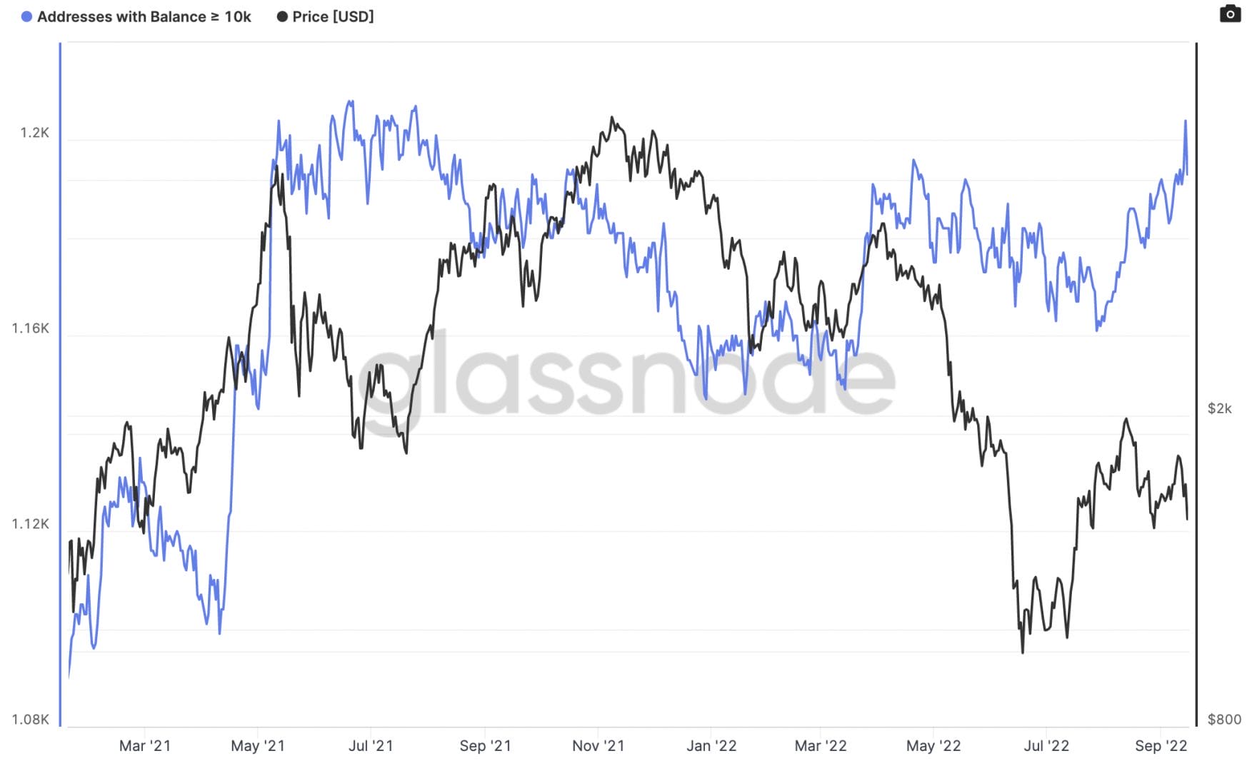 Les whales sont orientés à l'achat.