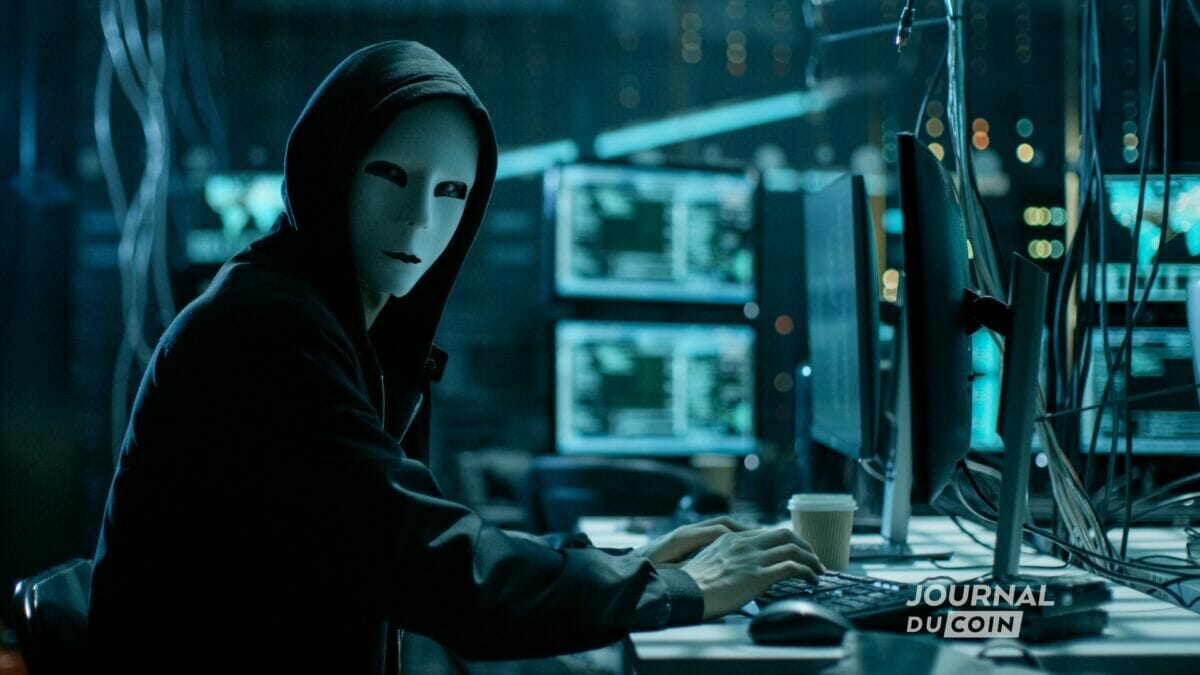 Un hacker s'attaque aux site des scammers pour voler des cryptomonnaies.