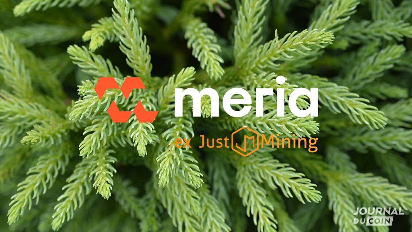 Le nom Meria est inspiré d'un arbre imputrescible capablme de resister aux assauts du temps, comme la blockchain