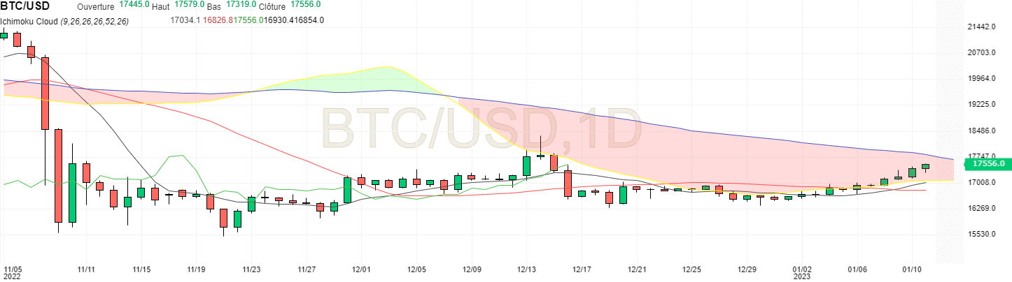 Bitcoin price in daily unit