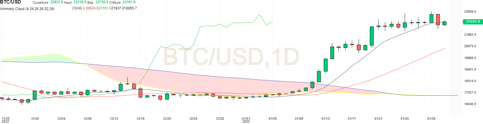 Bitcoin price in daily unit