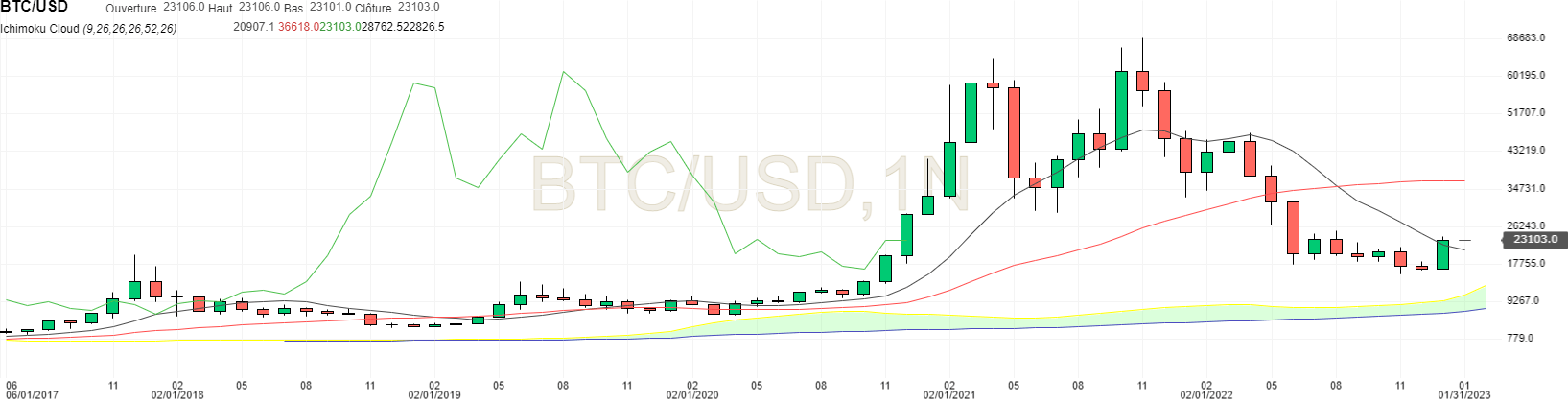 Bitcoin price in monthly unit