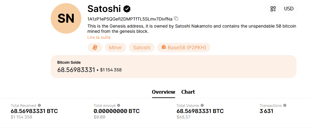 Certains fans versent des bitcoins en hommage à la création de Satoshi Nakamoto.