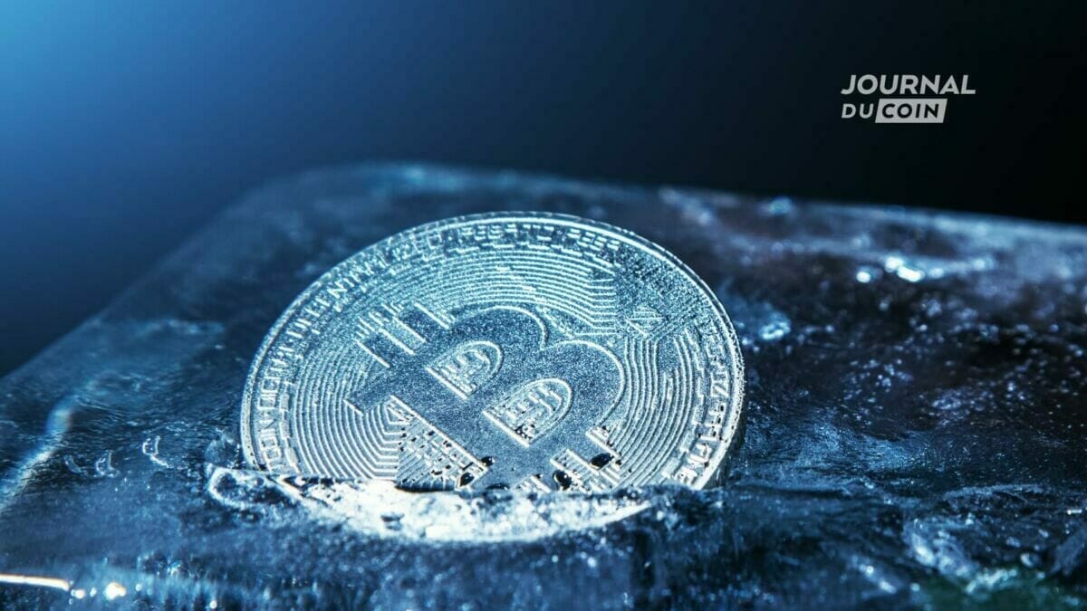 Le prix du Bitcoin chute sous les 16 000 $ durant l'hiver crypto.