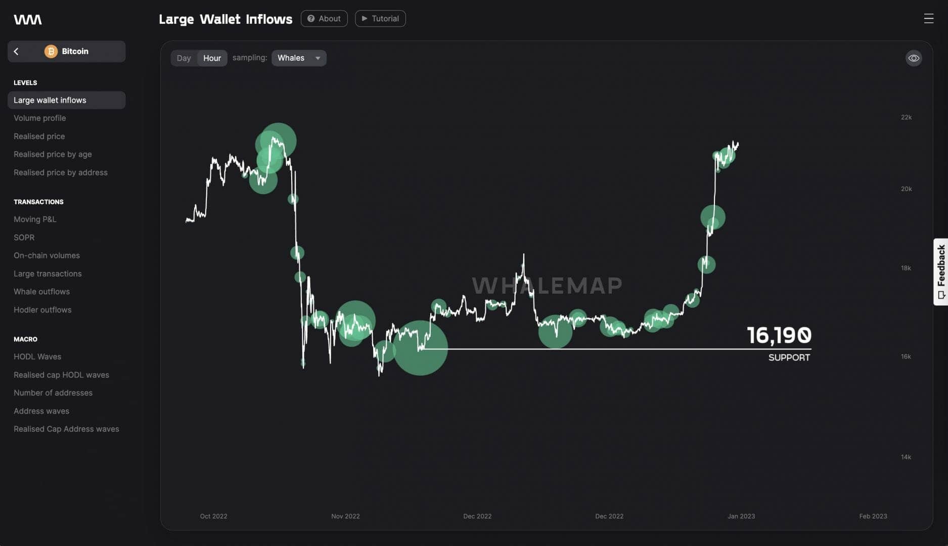 BTC price: concentration of whales