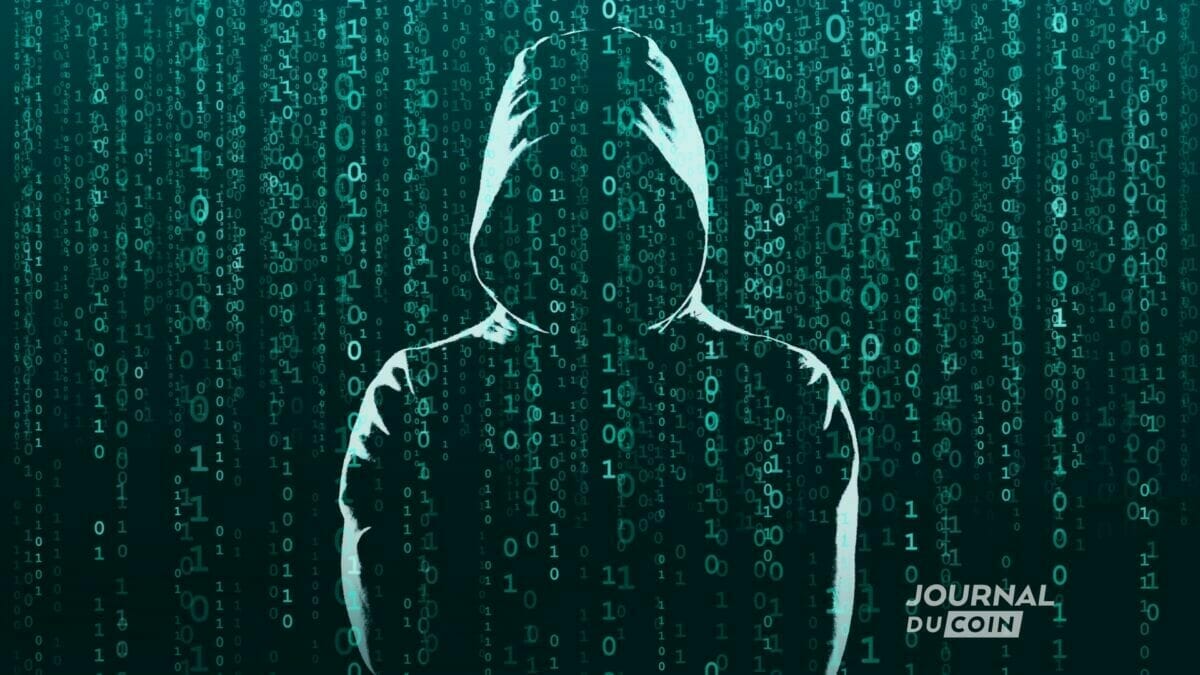 Hacker en herbe : l'écosystème NFT pris d'assaut par des hackers adolescents