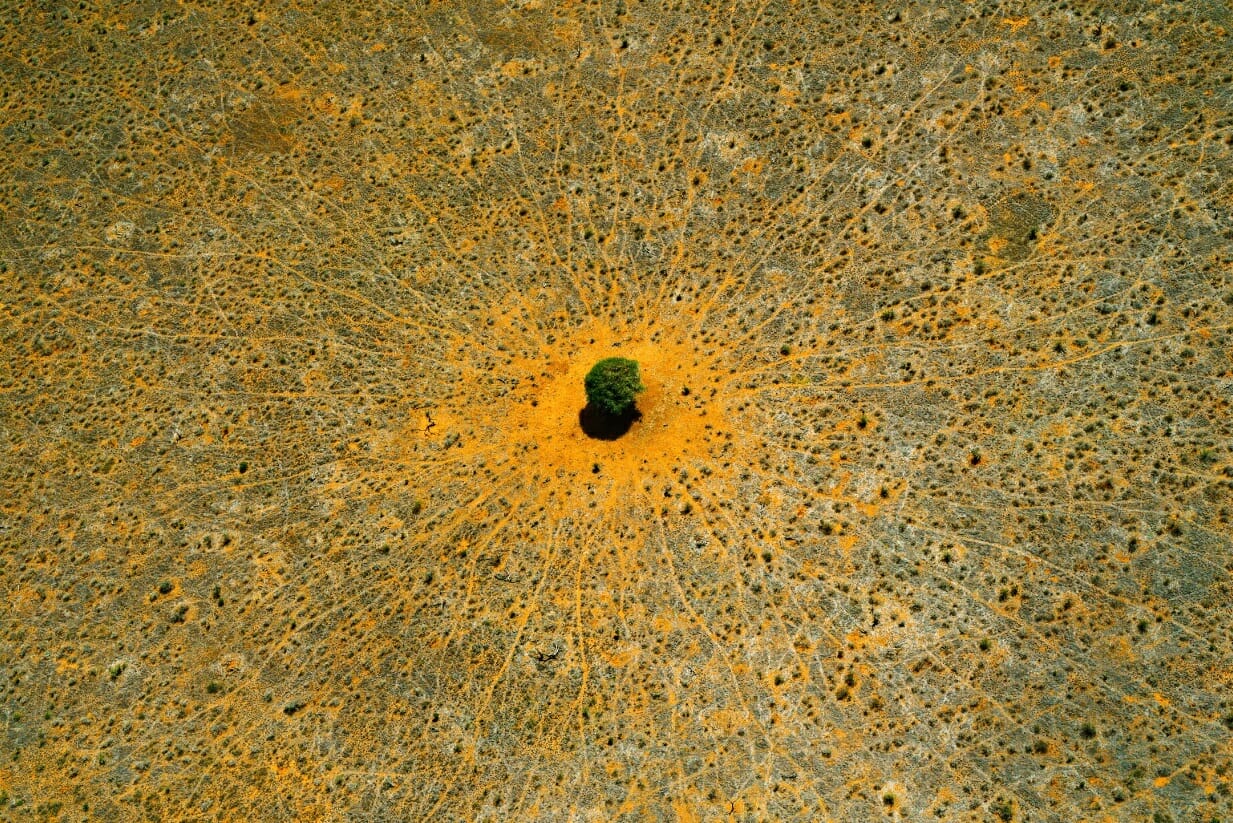 Une photographie de Yann Arthus-Bertrand, issue de la série Earth From Above. Elle sera mise en vente sur Rhapsody sous la forme de NFT.