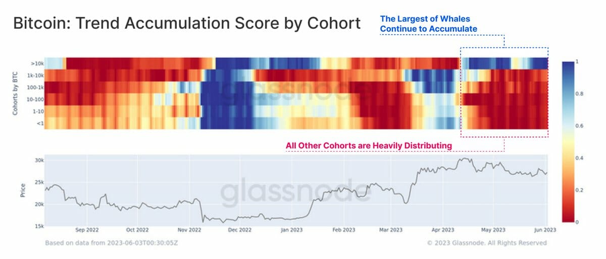 Graphique de Glassnode montrant que les baleines de bitcoins possédant plus de 10 000 BTC sont en pleine forme.