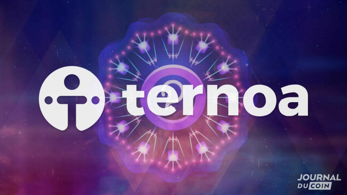 Ternoa : la blockchain des NFT évolutifs