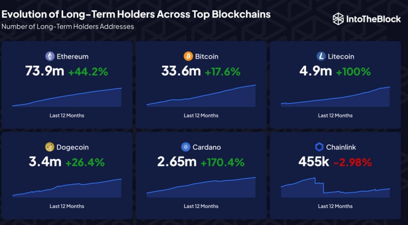 Ethereum has the most long-term holders according to IntoTheBlock - September 1, 2023. 