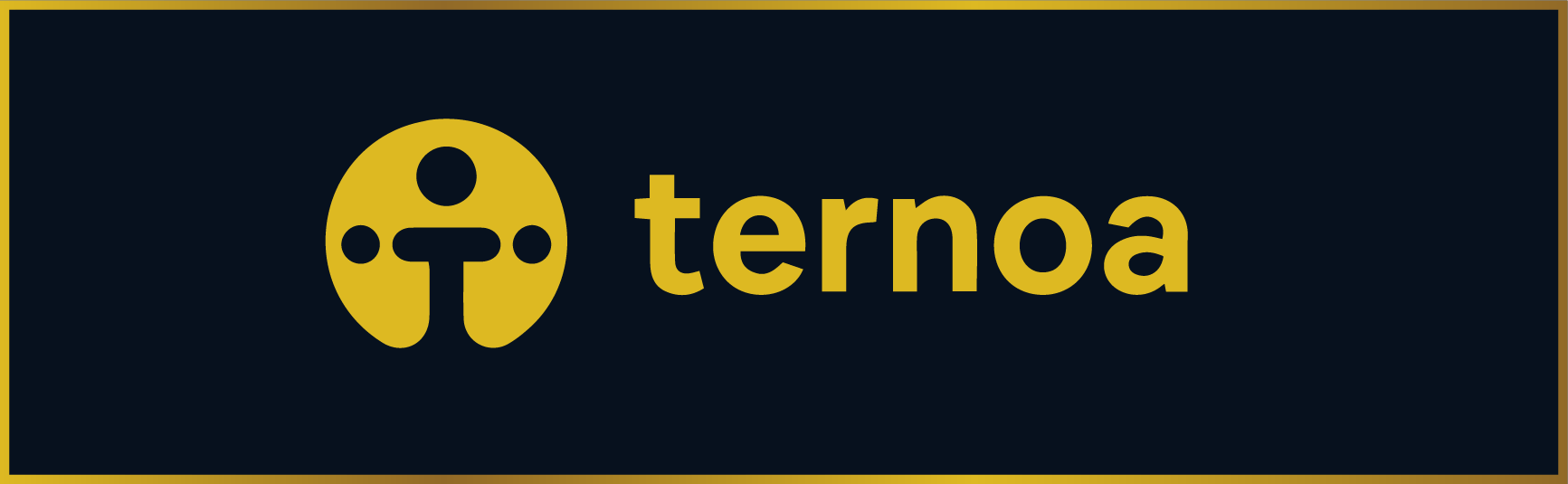 Ternoa : 150 000$ pour soutenir la décentralisation de sa blockchain