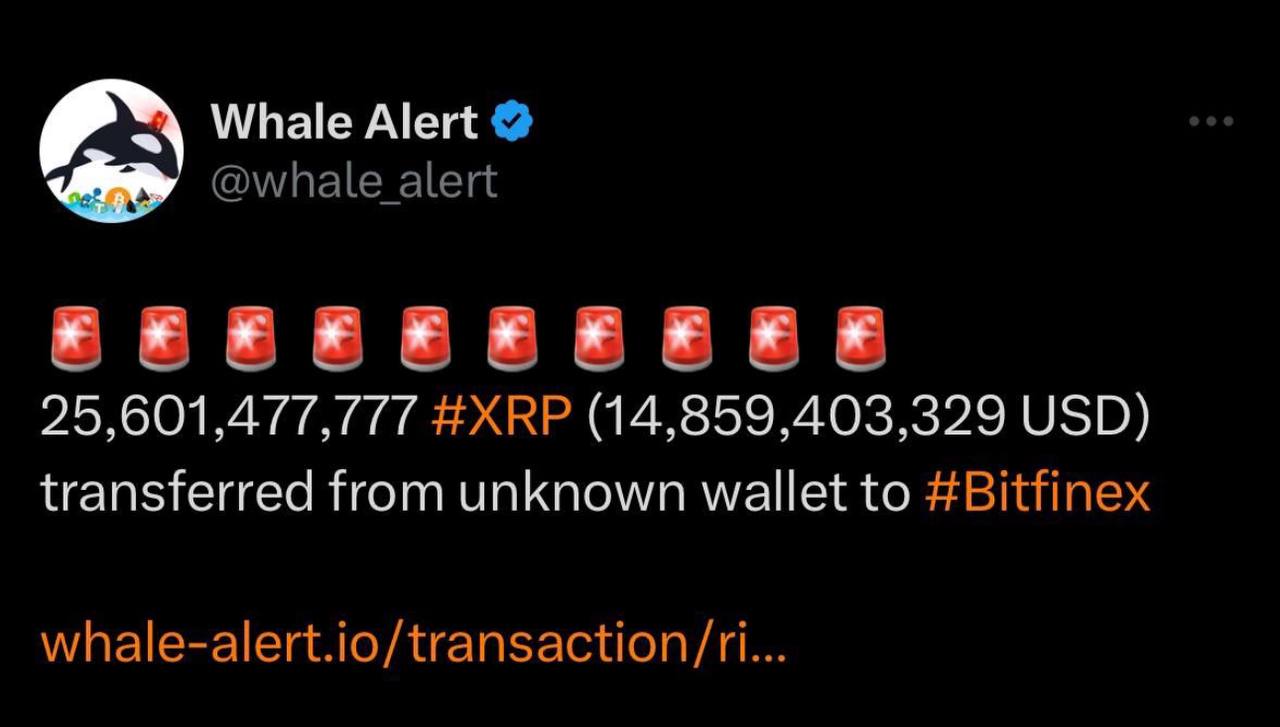Whale Alert détecte un transfert de 15 milliards de dollars