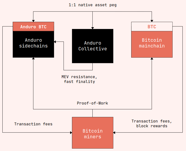 Diagram of the Anduro network, the L2 of Bitcoin launched by Marathon Digital Holdings