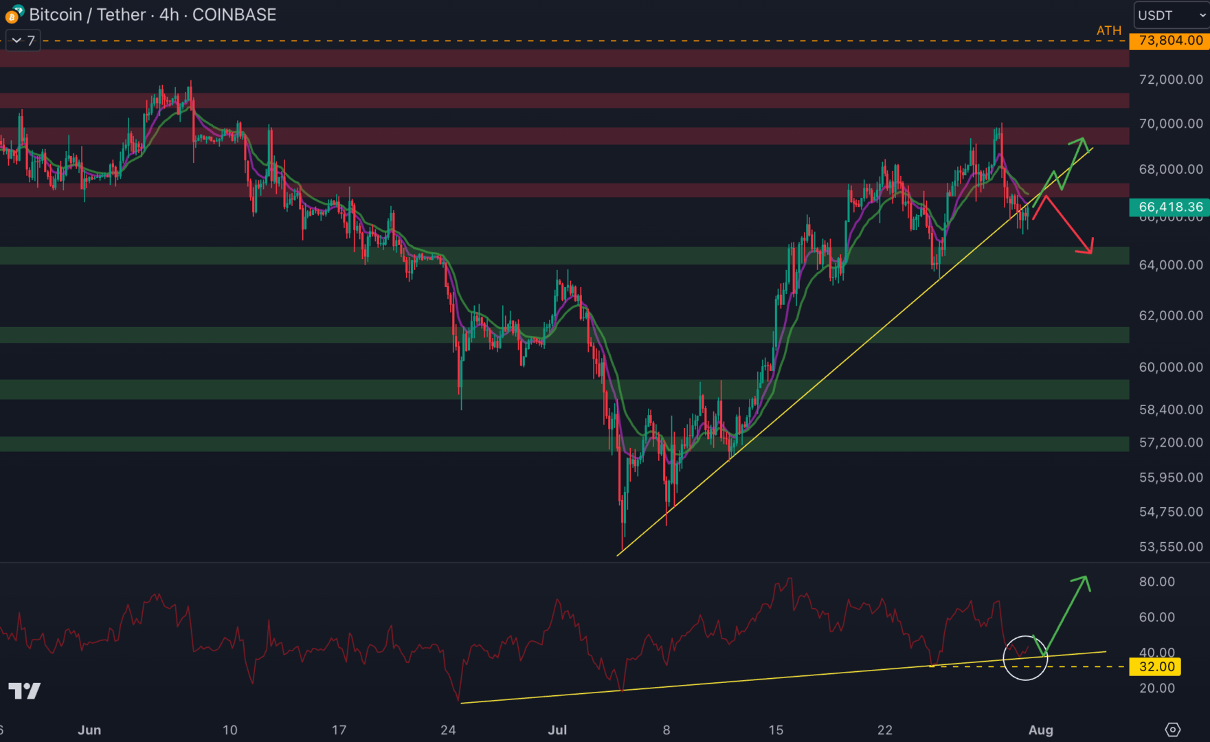 Le BTC a perdu les 67 000 $, le prochain support solide se trouve à 64 500 $ - 31 juillet 2024.