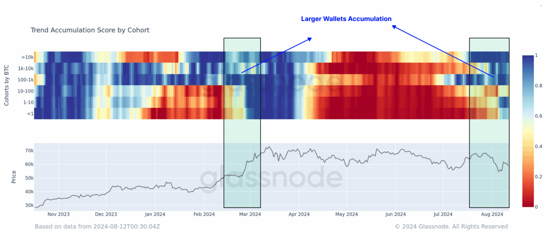 Après une période de distribution, les whales accumulent à nouveau comme en février - 14 août 2024.