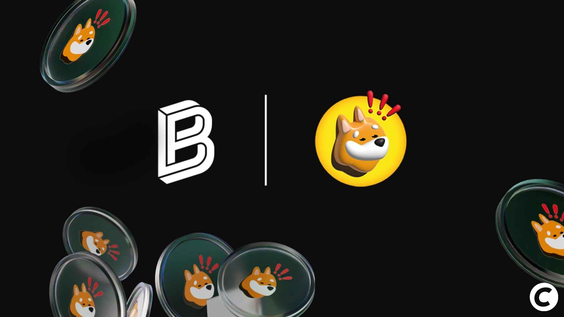 Les memecoins en folie : les nouveaux inscrits de BitPanda peuvent gagner  400 000 BONK gratuits - Journal du Coin