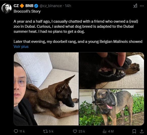 Changpeng Zhao dit CZ a annoncé au public le nom de son chien et cela a déclenché immédiatement une vague de memecoins. Certains petits malins ont évidemment réussi à faire de l'argent sur le dos de milliers d'autres qui ont, eux, perdu des sommes importantes. Ainsi va la vie au pays des memecoins...